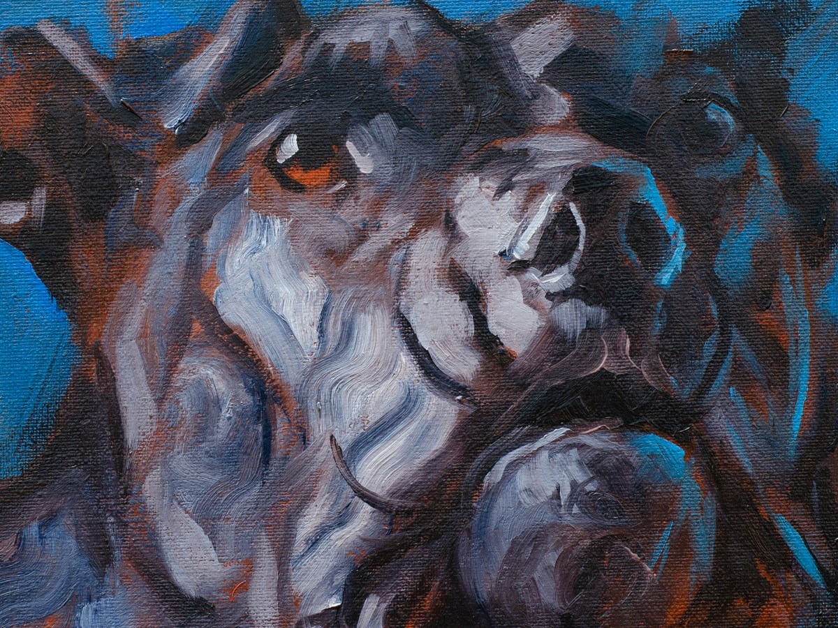 Sfântului meu Tată